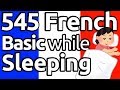 Learn 545 French Basic Vocabs and Phrases while you sleep