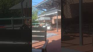 Nice weather Live Jazz- George Torrella (d) Charlie Schaffer (sx) Jesse Green (p) #jazzmusic #jazz