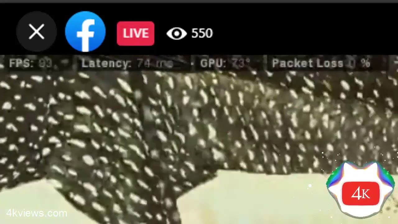 Best of Facebook Gaming Views Bot