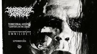 Terrestrial Hospice -Serpents in the Grass (Official single stream)