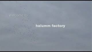 halumm --- office space modular solution
