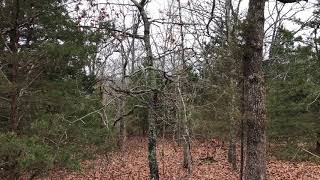 Tract 38 Ground - ID#HR38