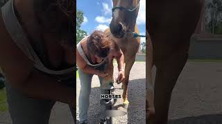 This Fix Changes Everything