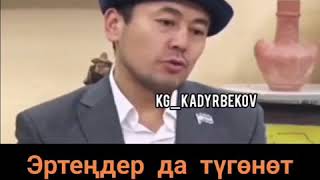 Нуржигит Кадырбеков 