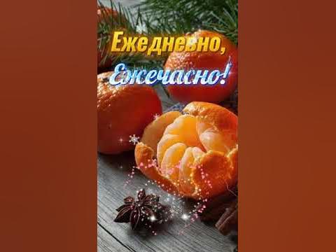 Мандаринку будешь? 🍊 🍊 - YouTube