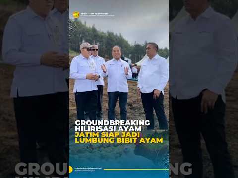 GROUNDBREAKING HILIRISASI AYAM JATIM SIAP JADI LUMBUNG BIBIT AYAM