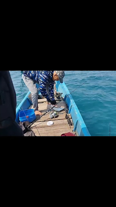 THIS IS THE APPEARANCE............... ............... DELICIOUS FISH