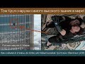 Том Круз висит снаружи 126 этажа! Съёмка эпизода "Миссия Невыполнима: протокол Фантом"!