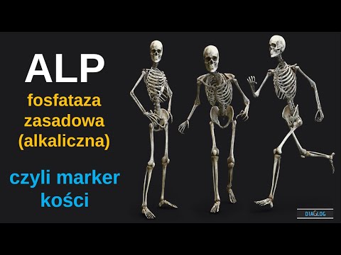 ALP - fosfataza zasadowa alkaliczna - marker kości i dróg żółciowych
