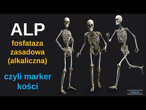 Wideo: Jakie reakcje katalizują fosfatazy?