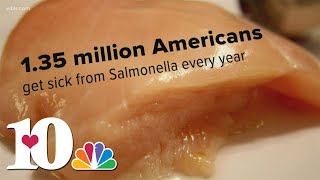Talking Turkey: How to avoid spreading salmonella this Thanksgiving