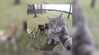 Silentó - Watch me (sped up)