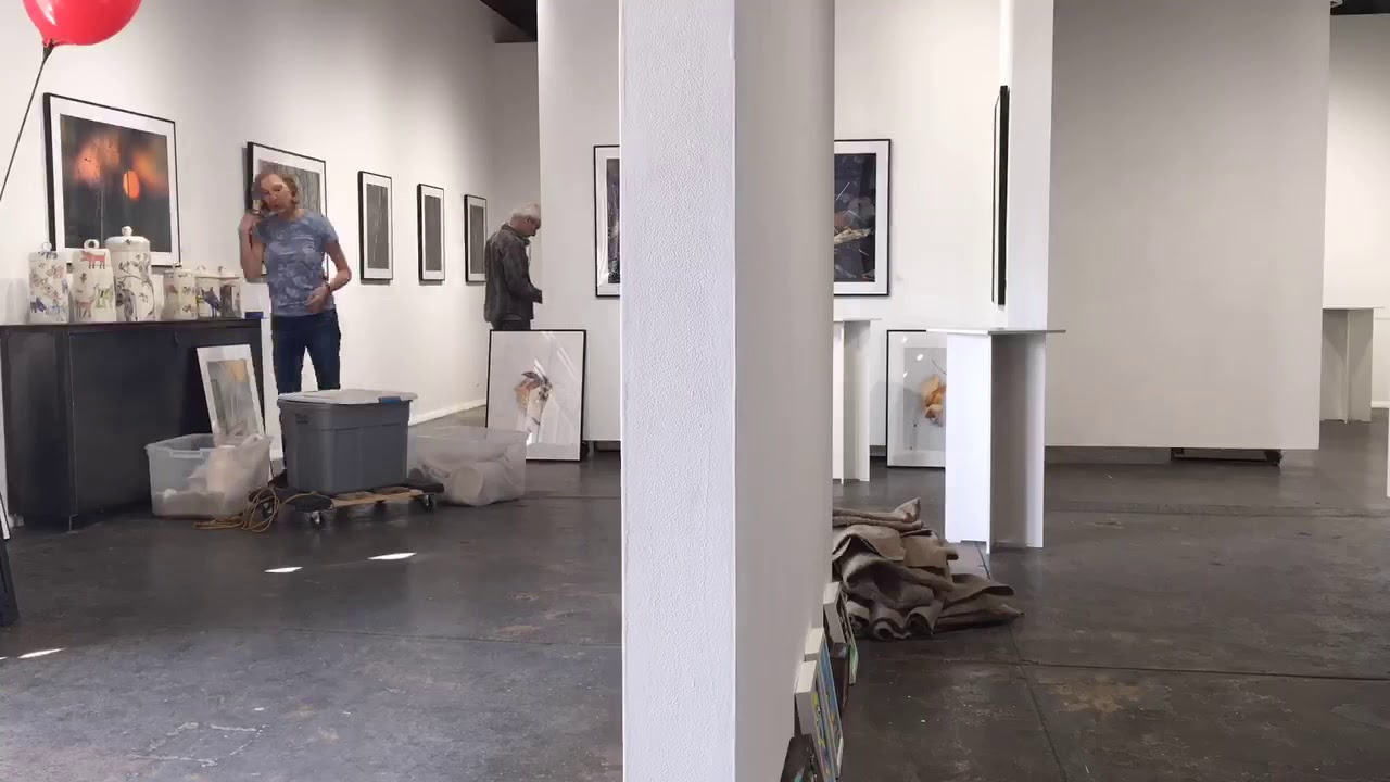 D'art Gallery Set up by Dan Baumbach and Lori Dresner YouTube