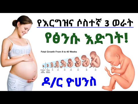 ቪዲዮ: በሦስተኛው ወር ሶስት ወራት ውስጥ ሚሲዮናዊ ደህንነቱ የተጠበቀ ነው?