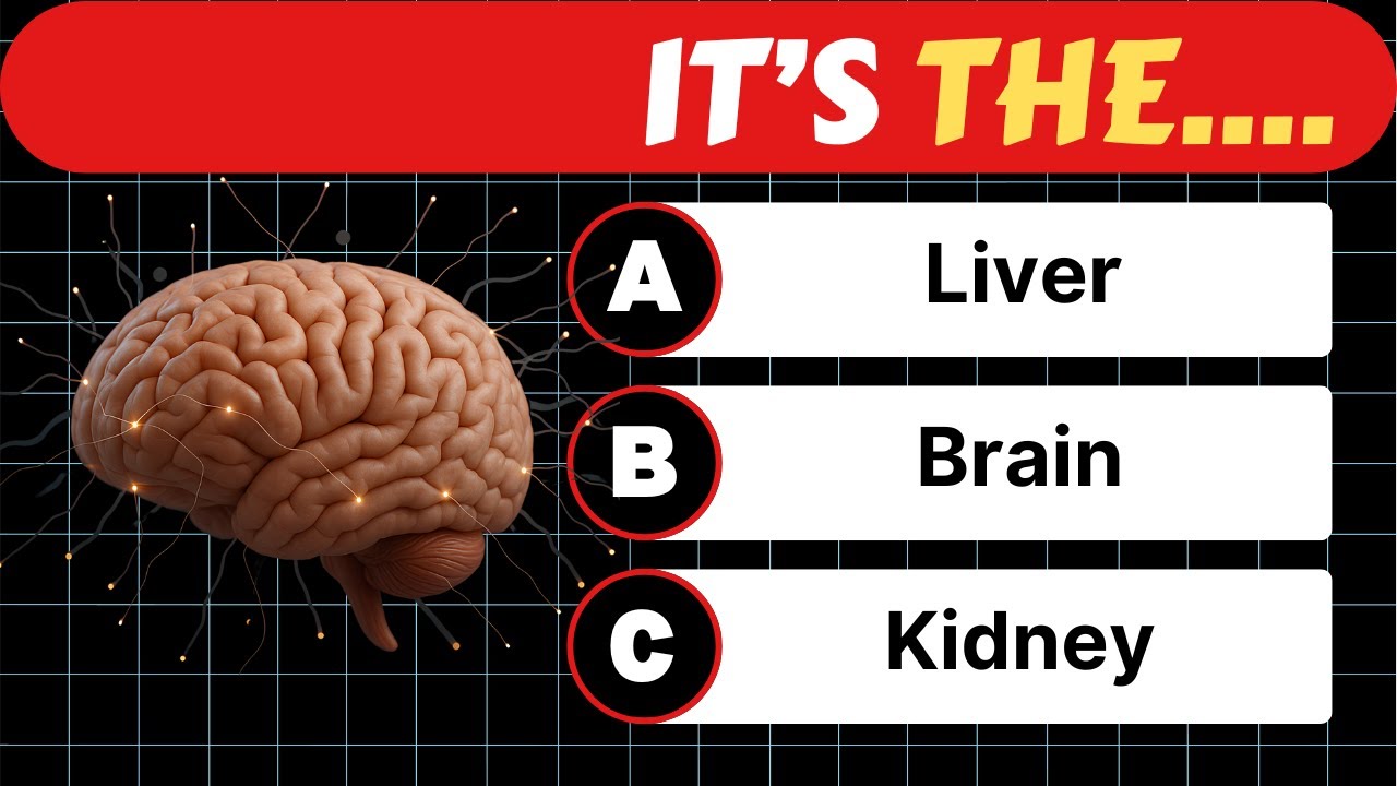Can You Pass This Human Body Quiz? 🤔🧠💪 | Test Your Anatomy Knowledge ...