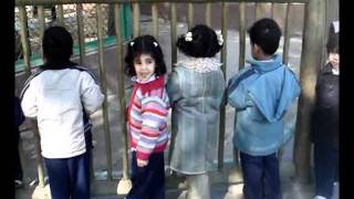 يوم في حضانتي البدور 2006-2007 (5).flv