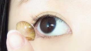 How to : Open, Store, Clean, Check, Put On, Remove and Rewetting Contact Lens