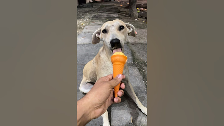 He loved the ice cream❤️ #shorts | Anant rastogi