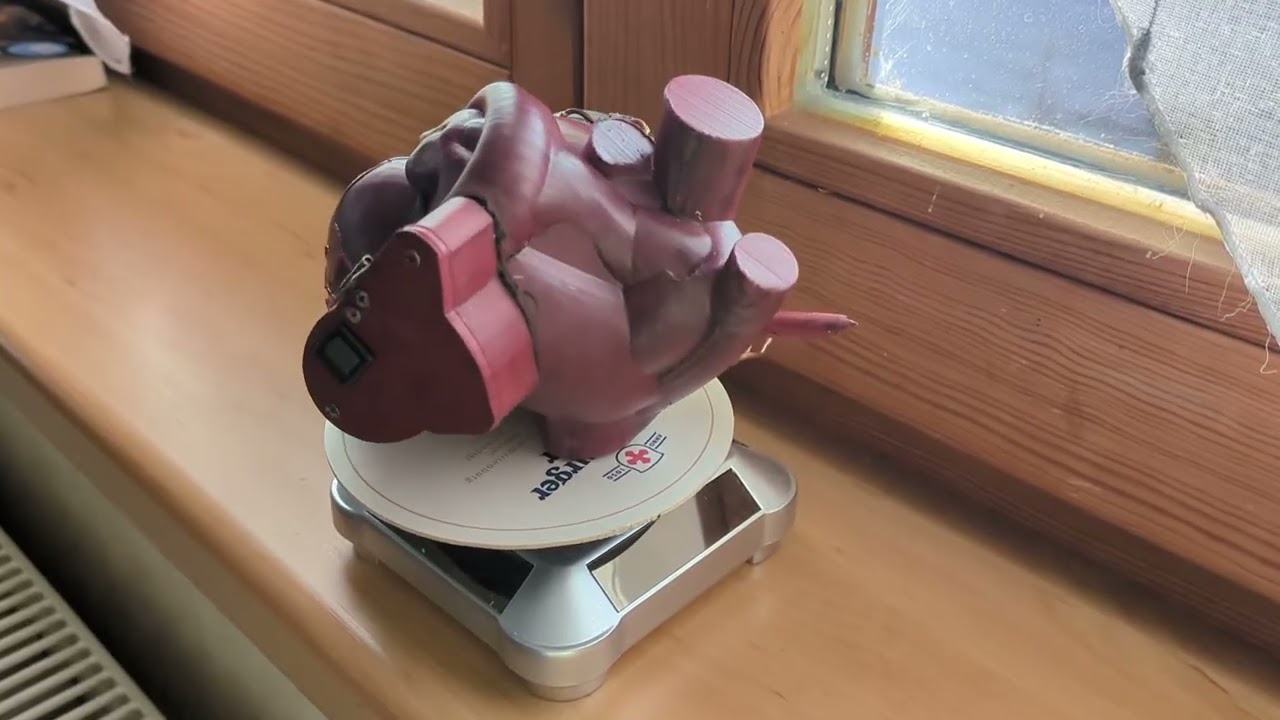 A make inspired by "Corvo Attano Heart from Dishonored"