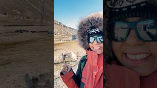Svalbard Ep 2 | No Shoes Allowed — Life Inside the Worlds Northernmost Town | #arcticadventures