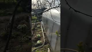 Увидел ОШИБКИ КРЕПЛЕНИЯ листов сотового поликарбоната к каркасу теплицы #теплицаизполикарбоната