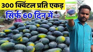 1 एकड़ में 300 क्विंटल उत्पादन सागर किंग प्लस Best watermelon variety // Tarbooj ki kheti