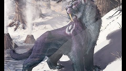 Feral Druid PvE DPS Guide 4.2. (Gems & Enchants) - 2. Part - Cataclysm