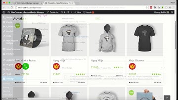 Product Catalogue Settings Demo - WooCommerce Product Badge Manager