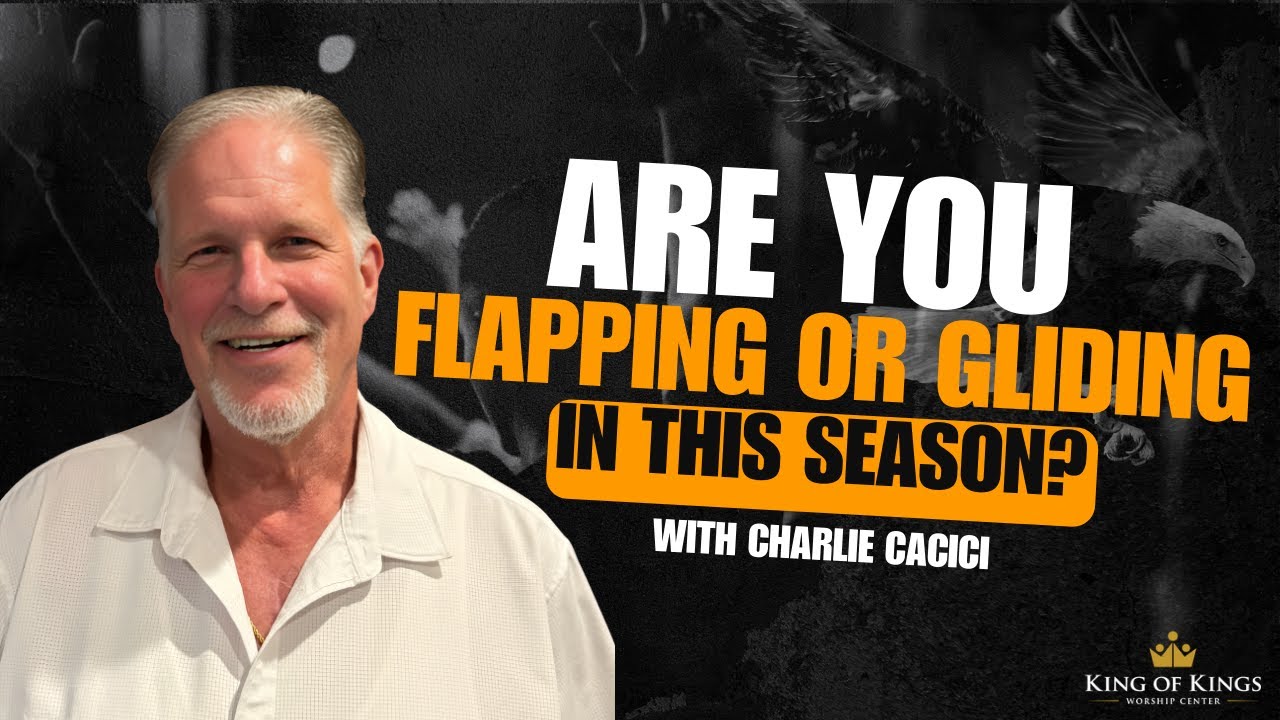Are you Flapping or Gliding | Charlie Cacici