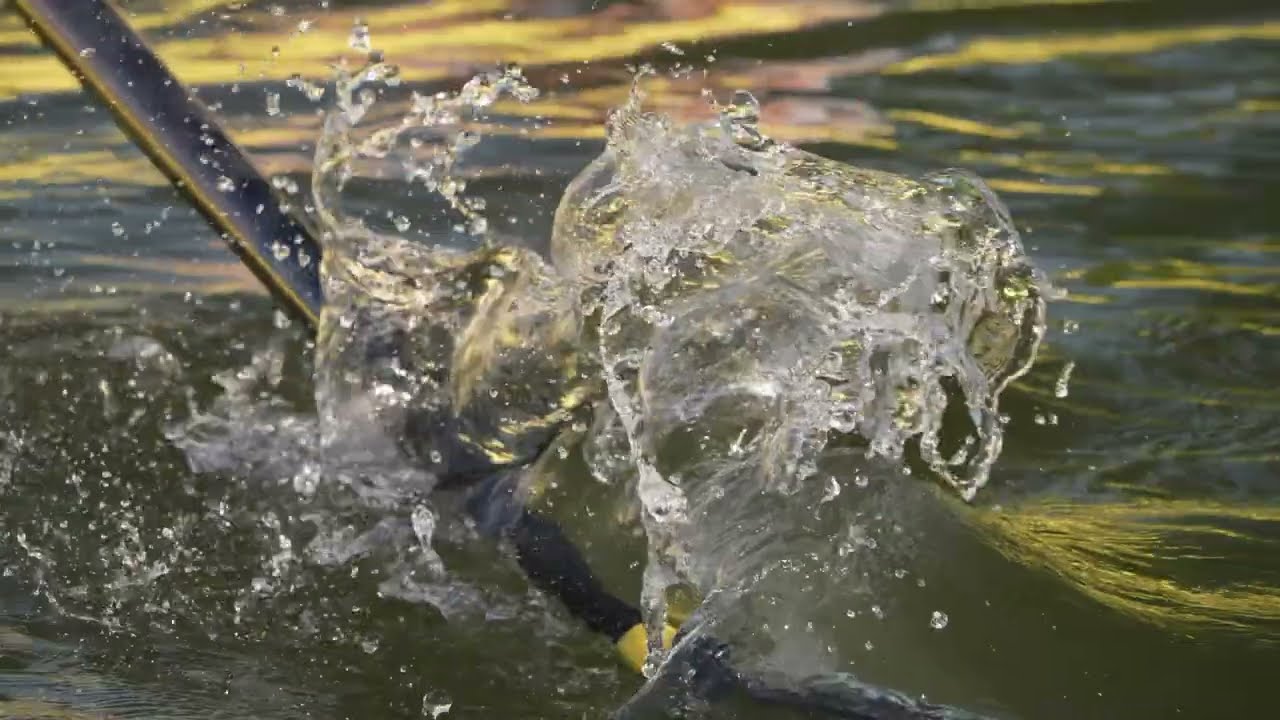 Slow Motion Rowing 2024