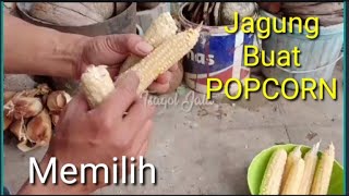 How to Make Perfect Caramel Popcorn /  Palomitas de Maíz con Caramelo