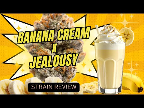 Banana Cake X Jealousy Strain