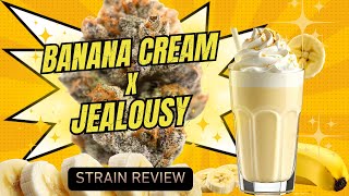 🍌🔥 “Banana Cream X Jealousy — 30%+ THC?! The Smoothest Heavy-Hitter of 2025