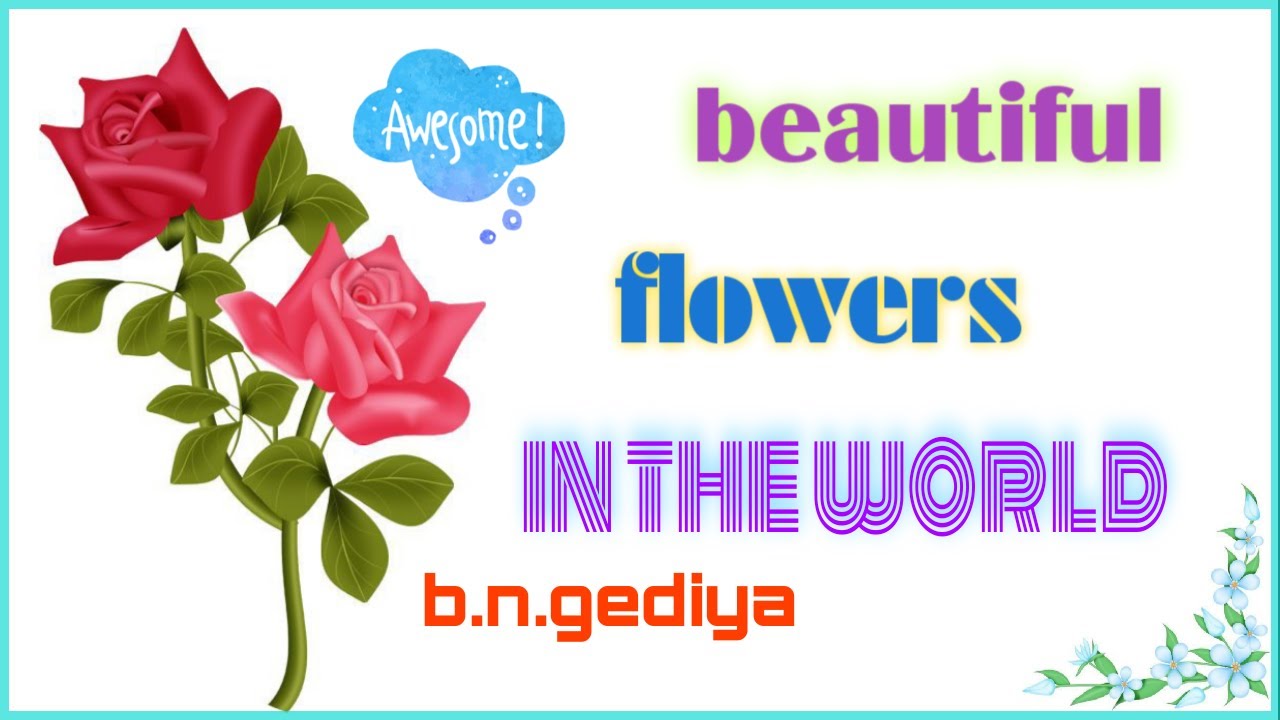 The most beautiful flowers in the world flowers full hd collection