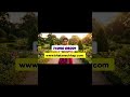 Multicolor pamphlet product marketing ke li ye #printing #business #ai #AIVIDEO