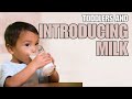 PEDIATRICIAN explains how to transition to cow's milk for toddlers and plant-based alternatives