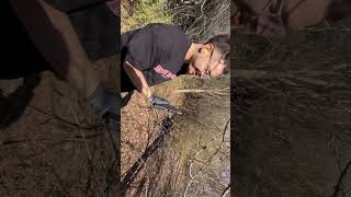 Target practice 3