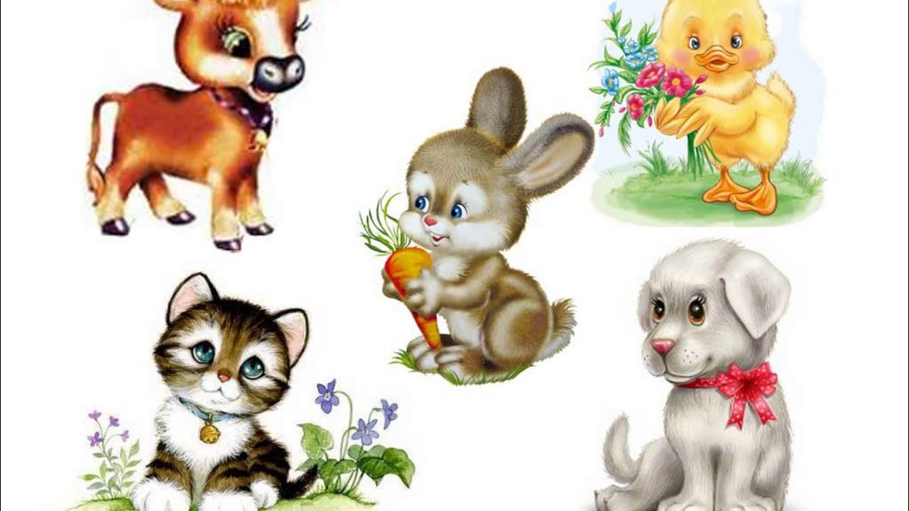 Познаем животных. Для детей. Животные. Рисунки животных для детей цветные. Домашние животные для детей. Животные для дошкольников.