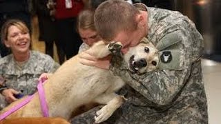 Try not to cry challenge-Dogs welcoming soldiers home 2017 *WARNING* This WILL make you cry