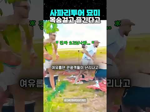 사파리투어 묘미, 목숨걸고 즐긴다고?! thumbnail