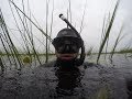 Подводная охота 2018 коптим рыбу Пынзарь Сергей