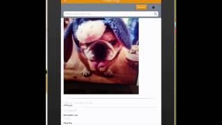 Creating Digital Portfolios With Three Ring
