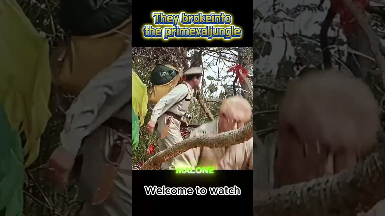 Eye-catching film and television commentary