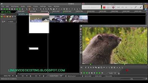 Cinelerra и параметр Fade In/Out в эффекте `Титры`