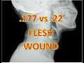 .177 vs .22 Pellet sub 12fpe...5lb of FLESH (MEAT)!!!