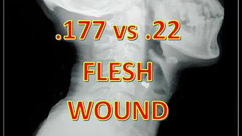 Koliko je cena peleta u predsezonu?