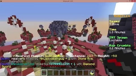 Mineplex Hacker Report #1