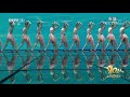 2021년 중국 중앙방송총국（CMG） 음력설야회 하이라이트: 무용 [따오기（朱鹮）] | CCTV 한국어방송