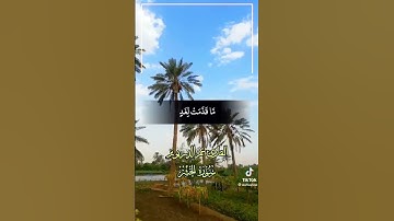 تلاوة رائعة جدا من سورة الحشر بصوت القارئ عمر الدريويز