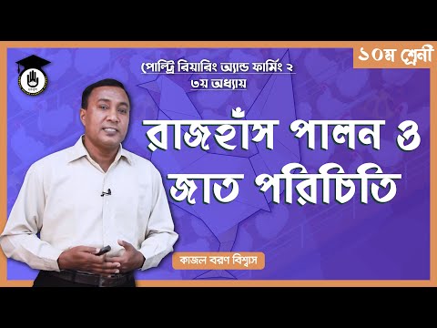 ভিডিও: রাজহাঁসের ডানার নিচে